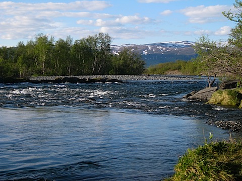 Abisko Juni 2009 dag 5 - 44.jpg